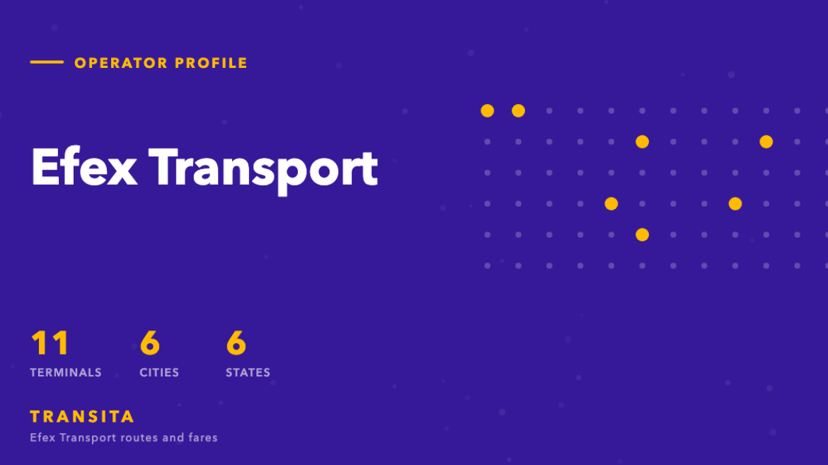 Network grid for Efex Transport: 11 terminals across 6 of the 61 cities on the Transita index, in 6 states.